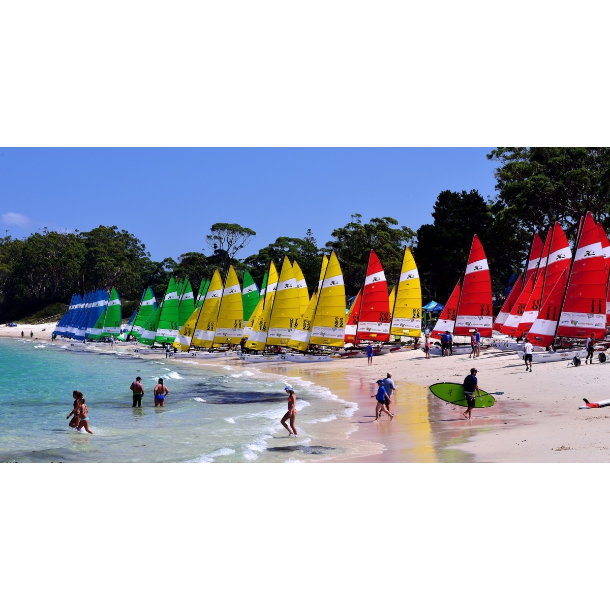 Hobie cat 16