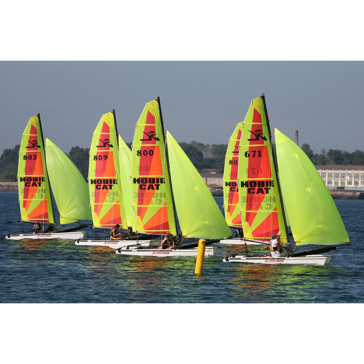 Hobie Dragoon 