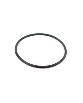 JOINT THORIQUE TRAPPE VISITE 102 MM